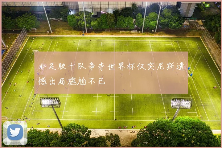 非足联十队争夺世界杯仅突尼斯遗憾出局尴尬不已